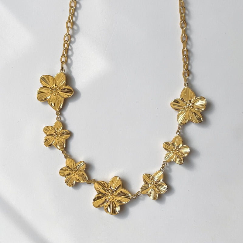 Collar AC