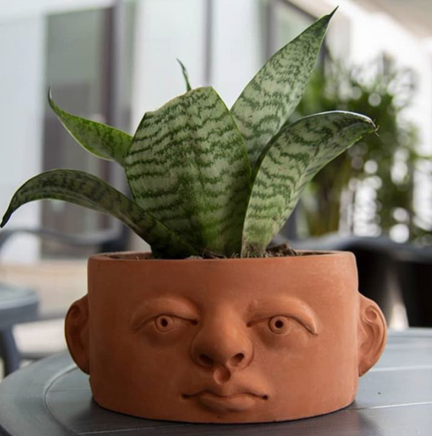 Headplanters