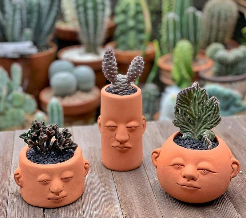 Headplanters